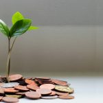 A picture of a plant growing from coins represents how a Startup needs funding to grow.