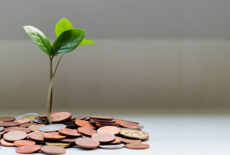 A picture of a plant growing from coins represents how a Startup needs funding to grow.